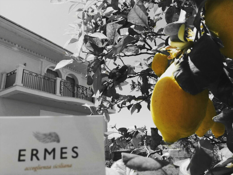 b&b avola, b&b siracusa, b&b noto, bed and breakfast avola, bed and breakfast siracusa, bed and breakfast noto, avola, noto, siracusa, mare, sicilia, pensioni, bedandbreakfast, case vacanze, dormire, prenota, prenotazione, camera, camere, appartamenti, appartamento, paolo corsico, ermes, accoglienza siciliana